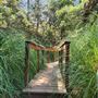 Franklin Canyon Park - Santa Monica Mountains Conservancy - SMMC