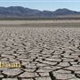 California Supreme Salt aka Dale Dry Lake