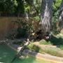Los Angeles Zoo & Botanical Gardens - LA Zoo