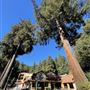 Historic Brookdale Lodge - Santa Cruz Mountains