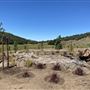 Red Cloud Ranch