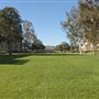 University of California, Los Angeles - UCLA