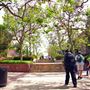 University of California, Los Angeles - UCLA