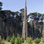 Presidio Trust - BRAC
