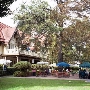Hancock Park Neighborhood