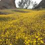 Pinnacles National Park - NPS