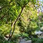 Sunset Marquis Hotel and Villas