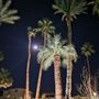 Lido Palms Hotel and Spa
