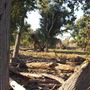 Kemper Campbell Ranch