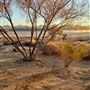 Kemper Campbell Ranch