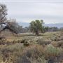 Kemper Campbell Ranch