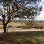 Kemper Campbell Ranch