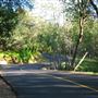 Western Placer County Roads