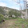 Stone Meadows Ranch