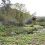 Stone Meadows Ranch