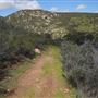 Stone Meadows Ranch