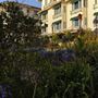 La Playa Hotel