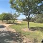 Olive Ranch