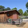 Olive Ranch