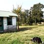 Sinclair Family Farm