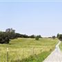 Sinclair Family Farm
