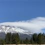 Mount Shasta / Shasta-Trinity National Forest