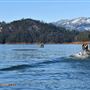 Shasta-Trinity National Forest, Shasta Lake Recreation Area