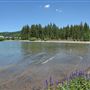 Lake Forest Beach