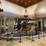 Museum of Natural History, Los Angeles