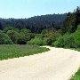 Henry Cowell Redwoods State Park (SP)