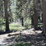 Bluff Lake Reserve