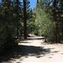Camp Cedar Lake