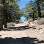 Camp Cedar Lake