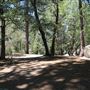 Camp Cedar Lake