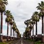 City of Kerman