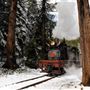 Yosemite Mountain Sugar Pine Railroad