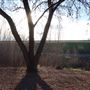 Feather River Parkway