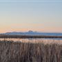 Sutter Bypass Wildlife Area - California Department of Fish & Wildlife (CDFW)