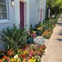 Park La Brea Community