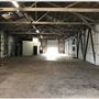 Willow Studios