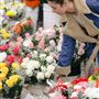 The Original Los Angeles Flower Market