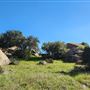 Sage Ranch Park