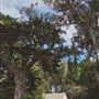 Straus Home Ranch