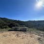 Hillside Homestead