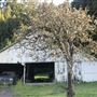 Browder Ranch