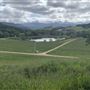 Halter Ranch