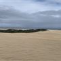 Oceano Dunes State Vehicular Recreation Area (SVRA) / Pismo State Beach (SB)