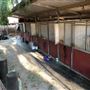 Coulombe Ranch