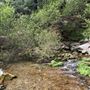 Mt. Shasta City Park