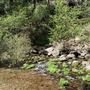 Mt. Shasta City Park